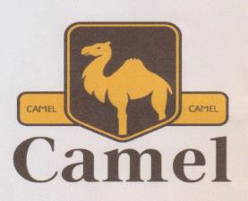 Mark logo