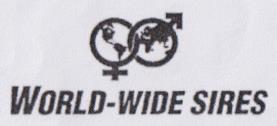 Mark logo