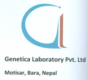 Mark logo