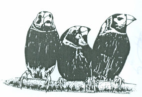 Mark logo
