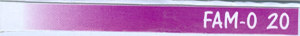 Mark logo