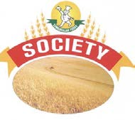 Mark logo