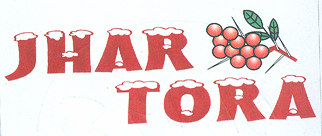 Mark logo