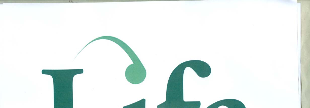 Mark logo