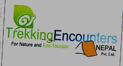 Mark logo