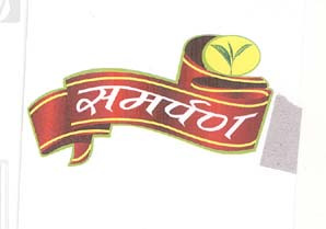 Mark logo