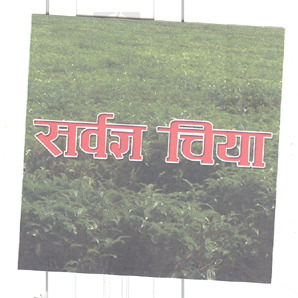 Mark logo