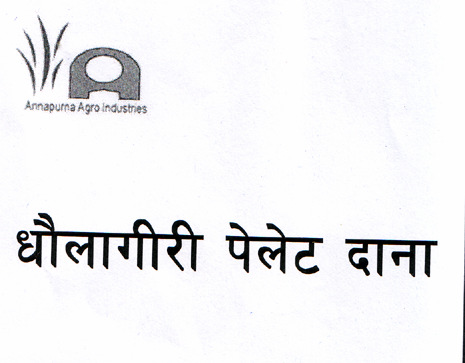 Mark logo