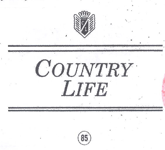 Mark logo