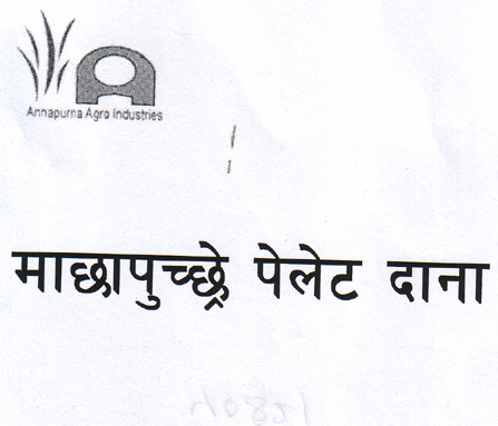 Mark logo