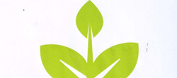 Mark logo