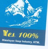 Mark logo