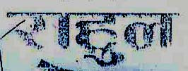 Mark logo