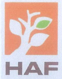 Mark logo