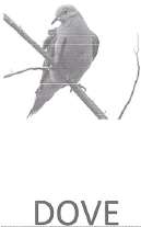 Mark logo