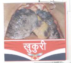 Mark logo