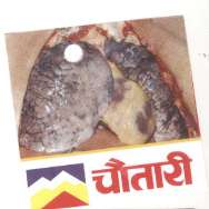Mark logo