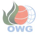 Mark logo