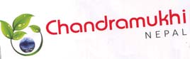 Mark logo